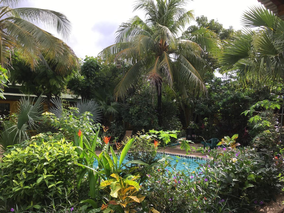 El Mono Loco Hotel Gasthof Tamarindo