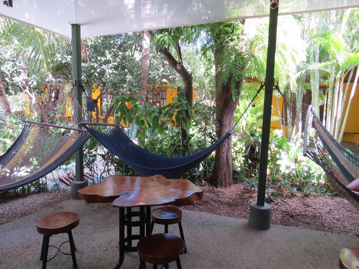 Gasthof El Mono Loco Hotel Tamarindo